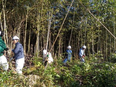金谷里山整備支隊　　 | サービス業（他に分類されないもの）