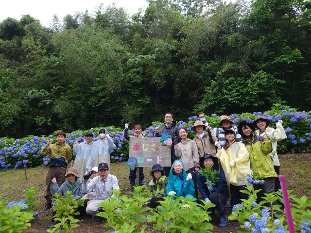 アジサイ花壇(竹林伐採跡地整備)の草取りです。 親子で参加の方もいます。