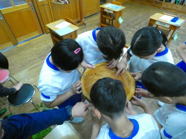 出張 森林教室