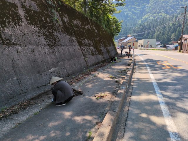 歩道清掃（6月）