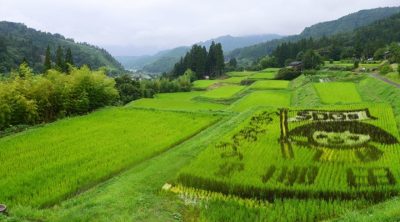 郡上市 | 自治体