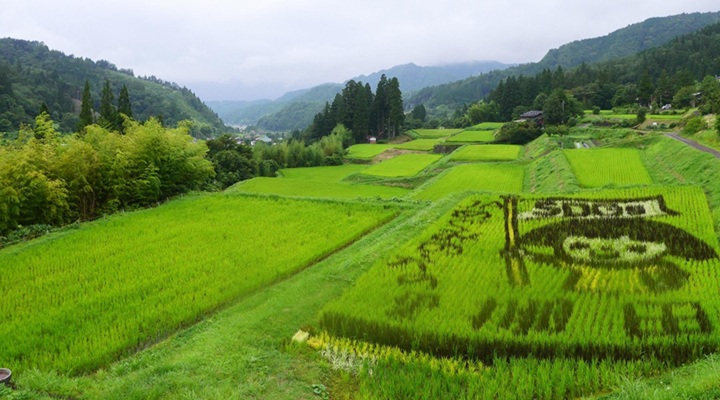 郡上市 | 自治体